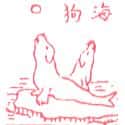 海狗,海豹 seal