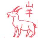 山羊 goat