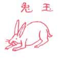 兔子,玉兔 rabbit