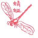 蜻蜓 dragon fly
