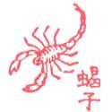 蝎子 scorpion