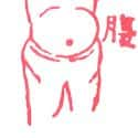 腹部,肚子 abdomen,belly