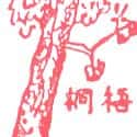 梧桐树 phoenix Tree