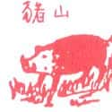 山猪 wild boar