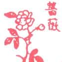 蔷薇 rosa multiflora