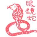 眼镜蛇 cobra