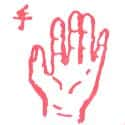 手,手掌 hand