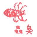 臭虫,床蝨 bed bug