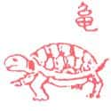 乌龟 tortoise