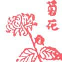 菊花 chrysanthemum