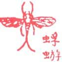 蜉蝣,一夜老 mayfly