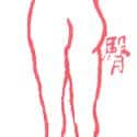 臀部,屁股 butt,buttock