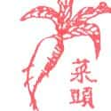 萝卜,菜头 carrot