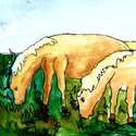 马吃草 horse grazing