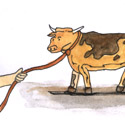 牵牛 leading cow