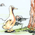小鹅吃草 gosling eat grass