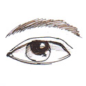 眼睛,眼 eyes