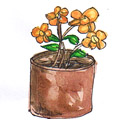 花盆,花钵 flowerpot