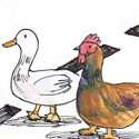 鸡鸭过路 chicken and ducks cross the road