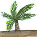 亚答树 atap tree