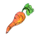 菜头,萝卜 carrot