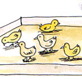 卖鸡鸭仔,卖小鸡,卖小鸭 selling chicks and ducklings