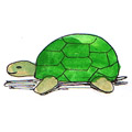 龟,乌龟 tortoise