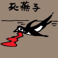 死燕子 dead swallow