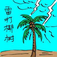 雷打椰树 lightning struck coconut tree