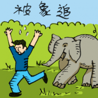 被象追 chased by an elephant