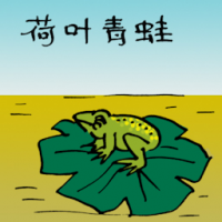 荷叶青蛙 frog on lotus leave