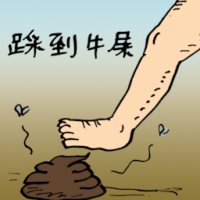 踩到牛屎 stepped on cow dung