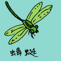 蜻蜓 giant dragonfly