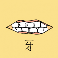 牙 teeth