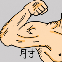 肘 elbow