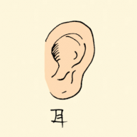 耳 ear