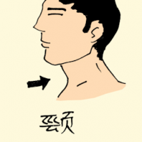 颈 neck