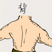 背 back