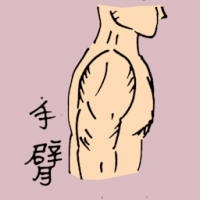 手臂 arm