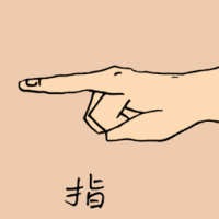 指 finger