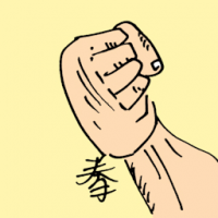 拳 fist