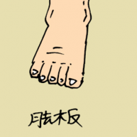 脚板 foot