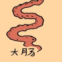 大肠 large intestine