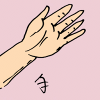 手 hand