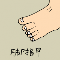 脚趾甲 toe nail
