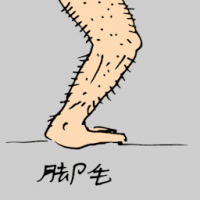脚毛 leg hair