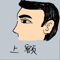 上额 forehead