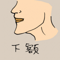 下额 chin