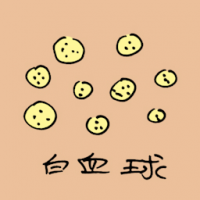 白血球 white blood cells