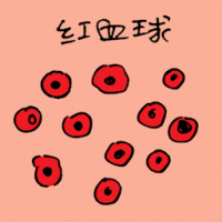 红血球 red blood cells